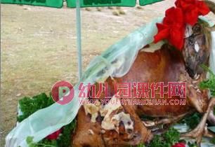 大班主题音乐课件PPT《欢乐草原》PPT课件图片