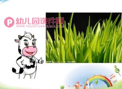 大班谈话活动课件PPT《白天和黑夜》PPT课件图片