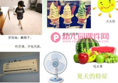大班常识课件PPT《美丽的夏天》PPT课件图片