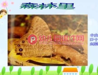 大班课件PPT《动物保护色》PPT课件图片