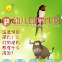 大班综合活动课件PPT《小壁虎借尾巴》PPT课件配音图片
