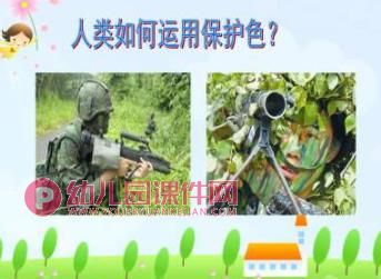 大班课件PPT《动物保护色》PPT课件图片