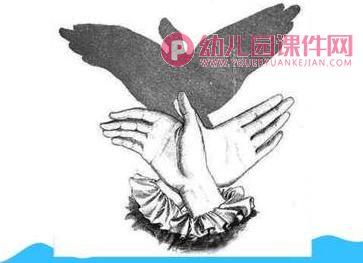 大班综合活动课件PPT《和影子捉迷藏》PPT课件图片