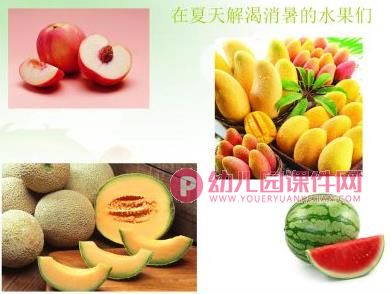 大班常识课件PPT《美丽的夏天》PPT课件图片