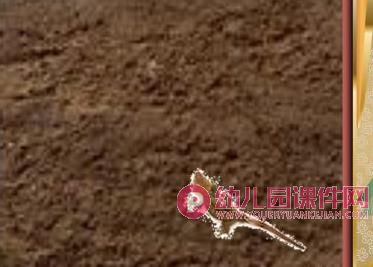 大班课件PPT《防身绝招》PPT课件图片