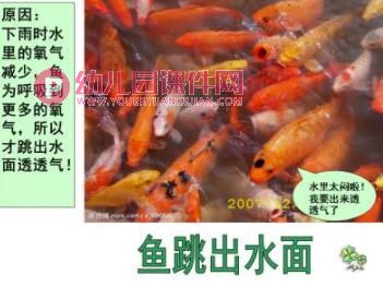 大班课件PPT《春夏秋冬物象天气预报》PPT课件图片