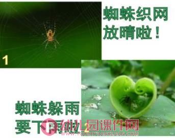 大班课件PPT《春夏秋冬物象天气预报》PPT课件图片