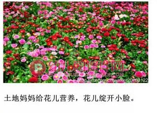 大班环境教育课件PPT《土地妈妈的营养》PPT课件图片