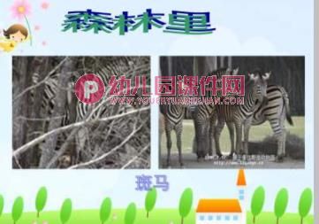 大班课件PPT《动物保护色》PPT课件图片