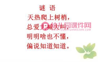 大班折纸手工课件PPT《蝉》PPT课件图片