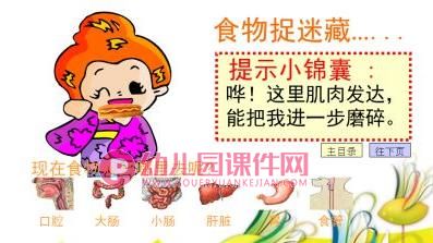大班课件PPT《食物的消化》PPT课件图片