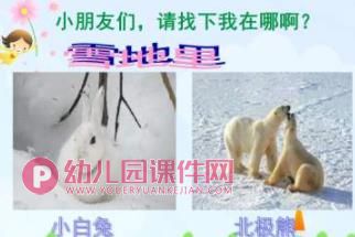 大班课件PPT《动物保护色》PPT课件图片