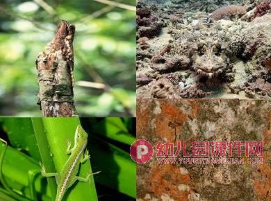 大班课件PPT《防身绝招》PPT课件图片
