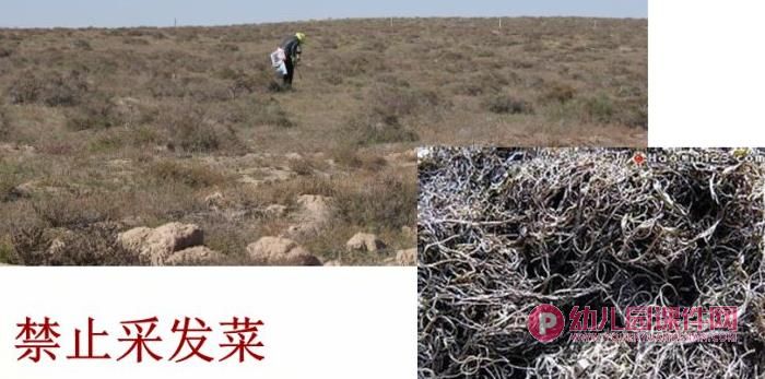 大班环境教育课件PPT《土地妈妈的营养》PPT课件图片