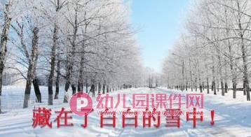 大班主题活动课件PPT《快乐的冬天》PPT课件图片