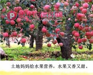 大班环境教育课件PPT《土地妈妈的营养》PPT课件图片