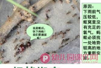 大班课件PPT《春夏秋冬物象天气预报》PPT课件图片
