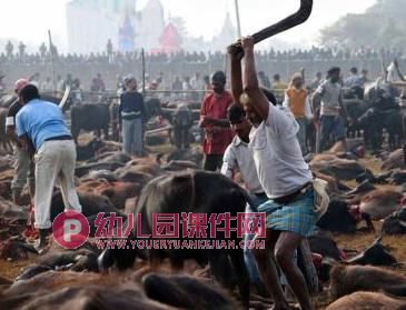 大班环保课件PPT《热爱我们的家园地球》PPT课件图片