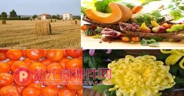 大班主题课件PPT《春夏秋冬》PPT课件图片