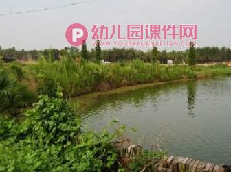 小班安全教育课件PPT《防溺水》PPT课件图片