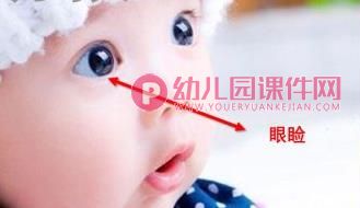 小班安全课件PPT《保护眼睛》PPT课件图片