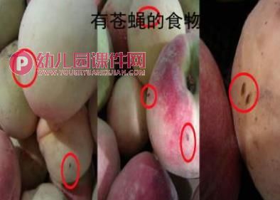 小班安全课件PPT《不要乱吃东西》PPT课件图片