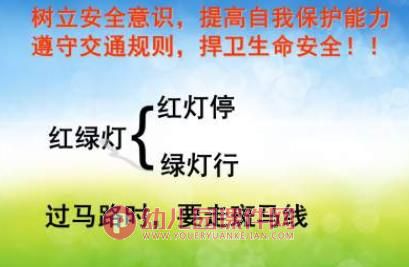 小班安全课件PPT《安全过马路》PPT课件图片