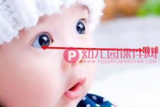 小班安全课件PPT《保护眼睛》PPT课件图片