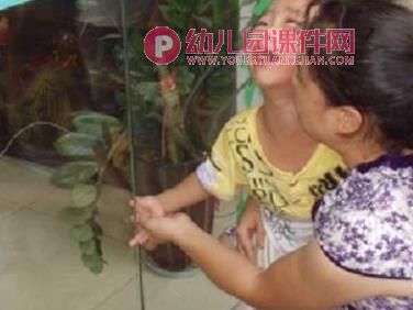 小班安全课件PPT《小手流血了》PPT课件图片