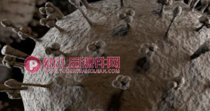 小班健康活动课件PPT《勤洗小手讲卫生》PPT课件图片
