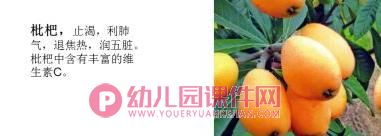 小班健康课件PPT《水果营养多》PPT课件图片