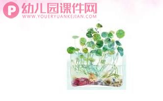 小班健康课件PPT《不挑食不浪费》PPT课件图片