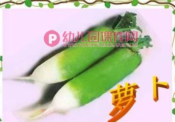 小班健康课件PPT《我的蔬菜宝宝》PPT课件图片