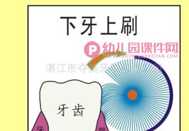 小班健康活动课件PPT《爱护牙宝宝》PPT课件图片