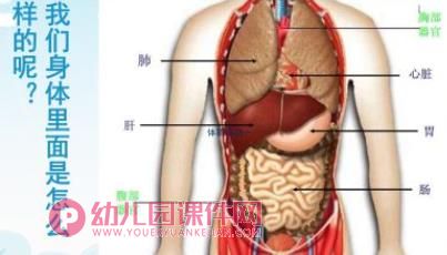 幼儿园小班健康课件PPT《我爱我的身体》PPT课件图片