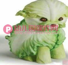 小班健康课件PPT《我的蔬菜宝宝》PPT课件图片