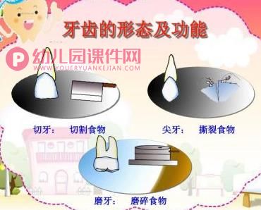 小班健康活动课件PPT《保护牙齿从小做起》PPT课件图片