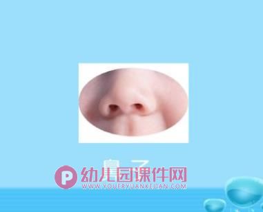 小班健康课件PPT《有用的五官》PPT课件图片