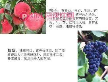 小班健康课件PPT《水果营养多》PPT课件图片