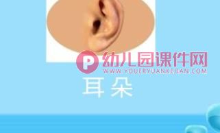 小班健康课件PPT《有用的五官》PPT课件图片