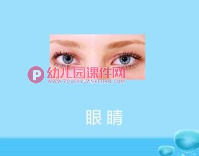 小班健康课件PPT《有用的五官》PPT课件图片