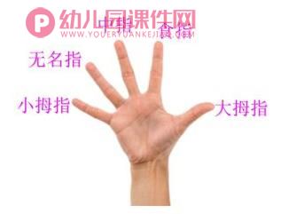 小班健康活动课件PPT《我的小手真能干》PPT课件图片