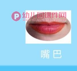小班健康课件PPT《有用的五官》PPT课件图片