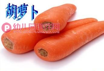 小班健康课件PPT《我的蔬菜宝宝》PPT课件图片