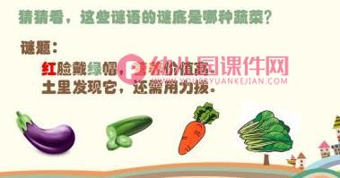 小班健康课件PPT《好宝宝不挑食》PPT课件图片