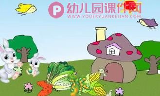 小班健康课件PPT《好宝宝不挑食》PPT课件图片