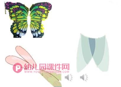 小班科学课件PPT《蜻蜓仙子》PPT课件图片