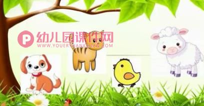 小班科学课件PPT《喂喂小动物》PPT课件图片