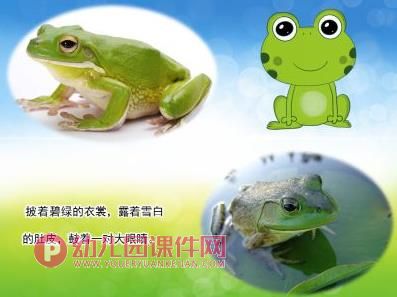 小班科学课件PPT《小蝌蚪变青蛙》PPT课件图片