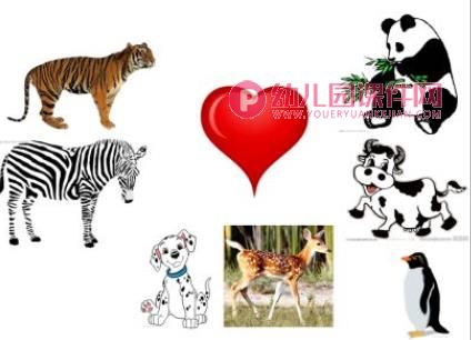 小班科学优质课课件PPT《动物花花衣》PPT课件图片